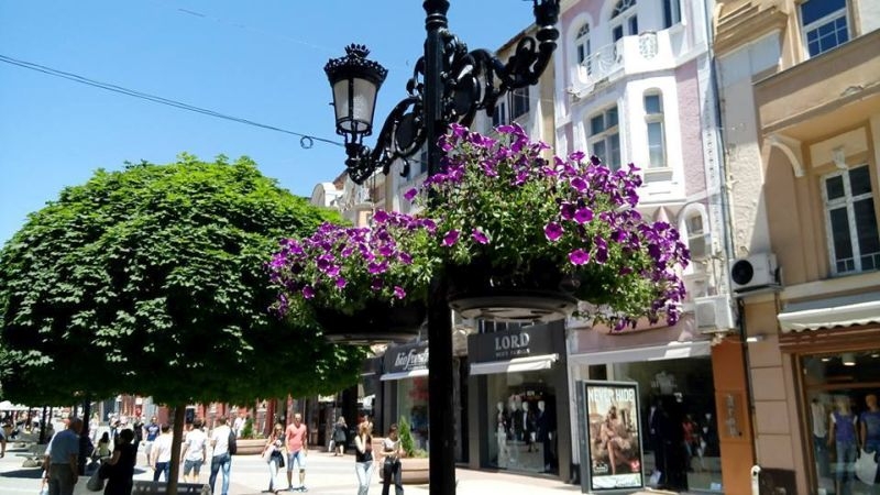 Висящи кошници с цветя отново красят Пловдив СНИМКИ