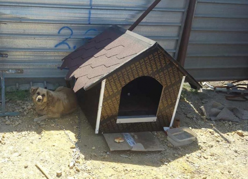 Талисманът на Мол Марково тепе с нов дом