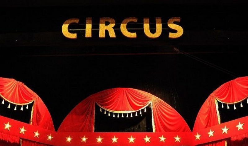 Какво се случва зад кулисите на цирка? ВИДЕО