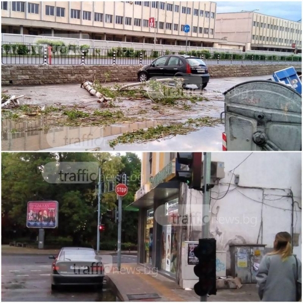 Поразии в Пловдив след лошото време! Паднали клони, увиснали светофари СНИМКИ
