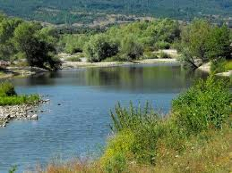 Труп на удавник изплува от река Върбица