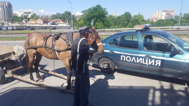 Роми останаха без каруца, репатрираха я до моста на Адата СНИМКИ