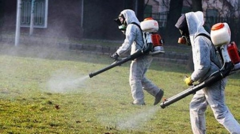 Борбата с комарите в Пловдив продължава