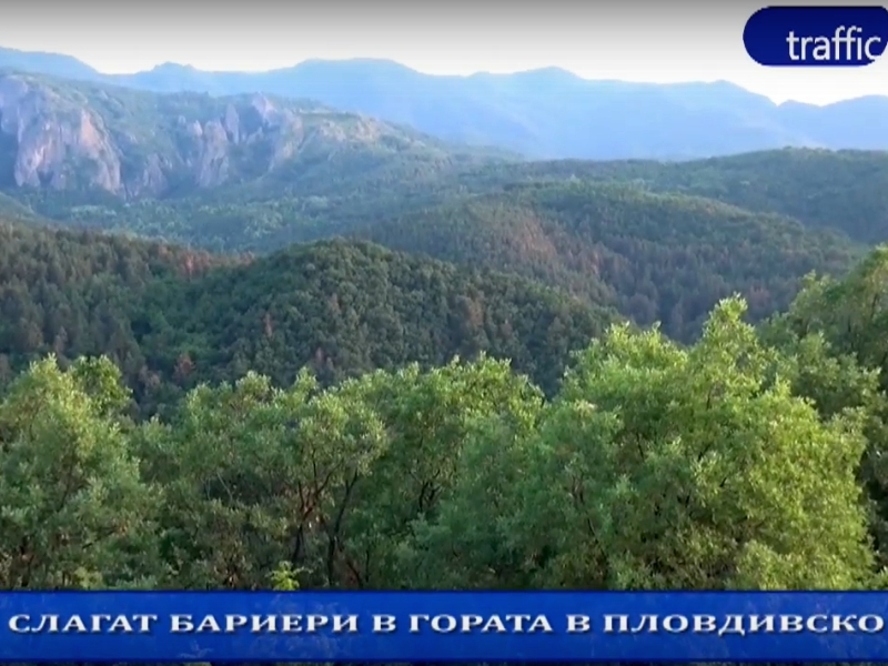 Край на разходките! Слагат бариери в гората на 30 км от Пловдив (Обзор на деня)
