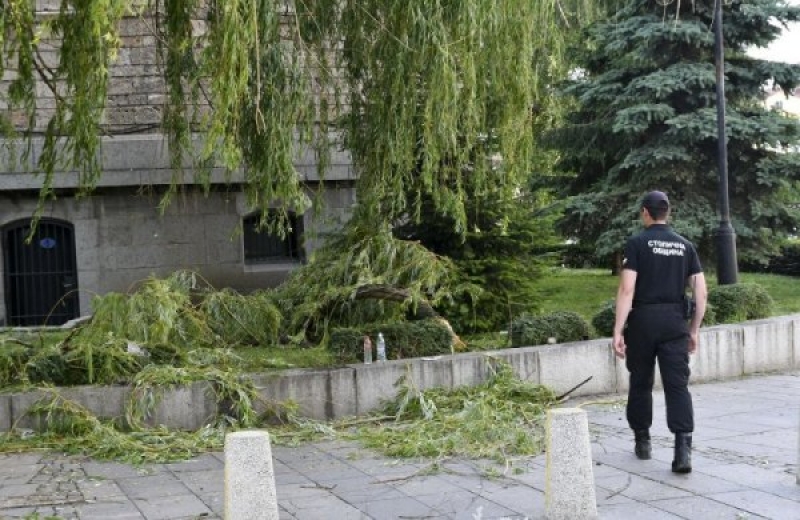 Клон се стовари върху пешеходец, който загуби съзнание