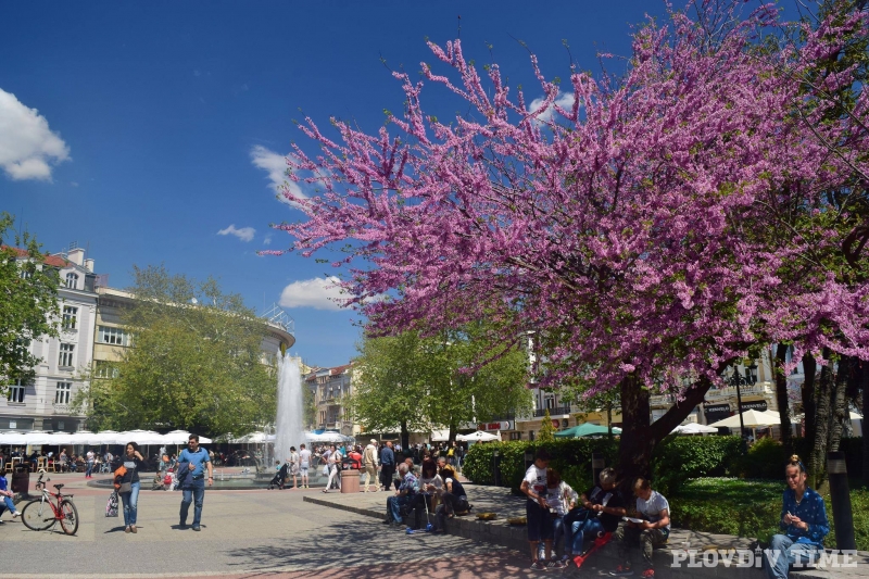 Туристи от Китай и Япония превземат Пловдив
