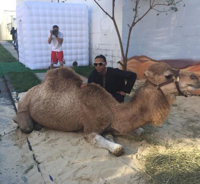Майка се изръси с 25 000 долара за бала на сина си, купила камили и пясък СНИМКИ