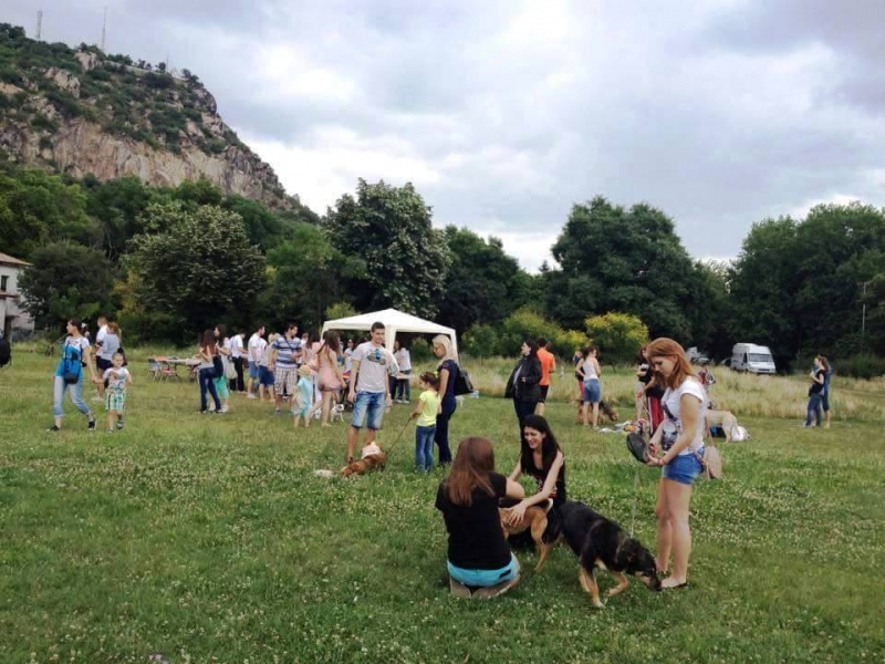 Пусни хвърчило на Младежкия хълм, подай лапа на животно в беда