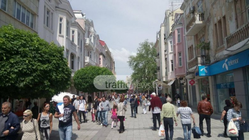 Пръскат срещу въшки на Главната в петък вечер