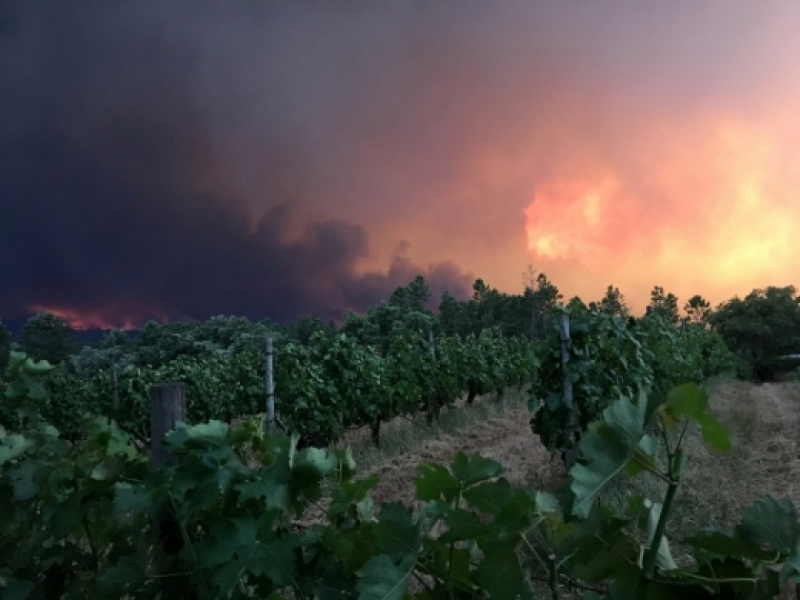 Огнен ад отне живота на 19 души в Португалия