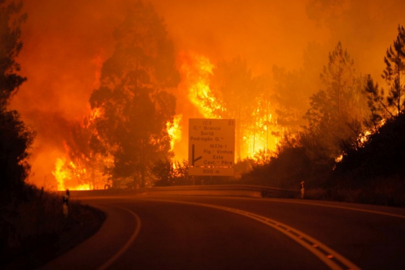 Няма пострадали българи в Португалия, над 57 загинаха в пожара