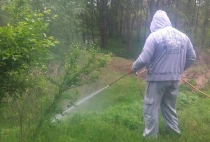 Тази нощ пръскат срещу комари на пловдивските тепета и Главната