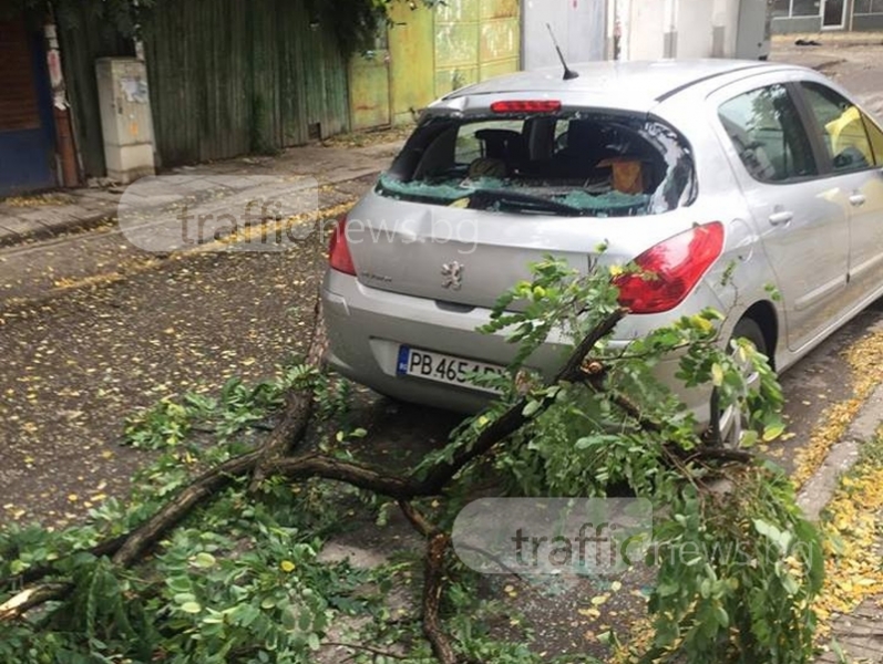 Клон разби стъклото и задницата на кола в Пловдив, падна на метри от жена СНИМКИ