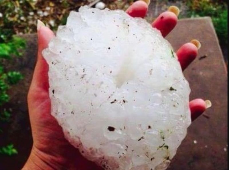 Десетки души остават без работа след опустошителната градушка в Левски