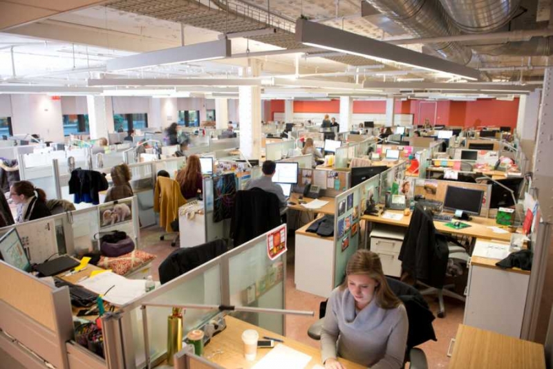 Кои са най-желаните професии в България?