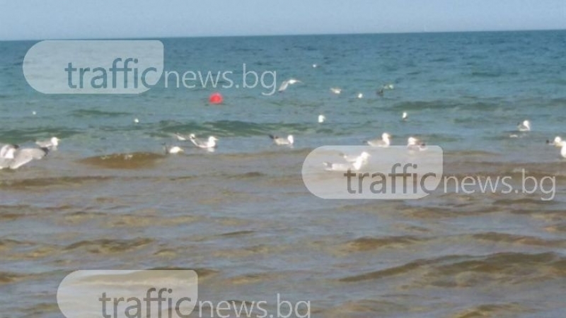 Руснак се удави в Равда