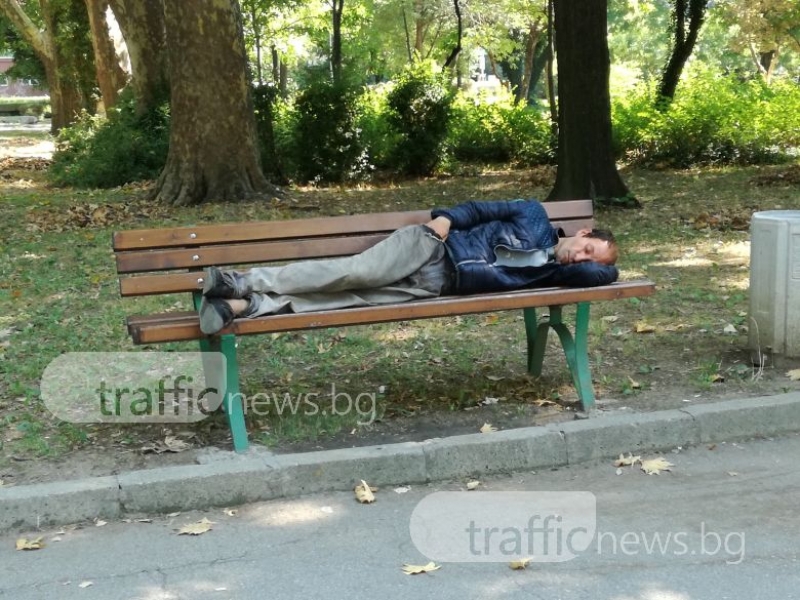 Бездомни хора, бездомни кучета, пияници, бълхи и деца - от всичко има в парковете на Пловдив СНИМКИ