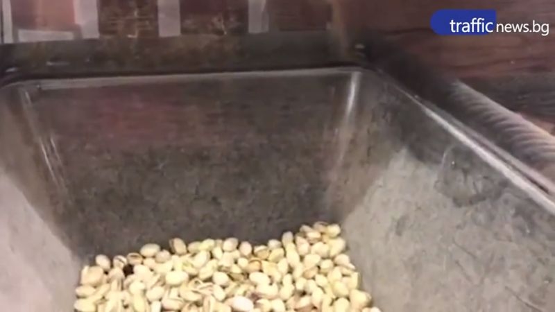 Буболечки плъзнаха в ядките в пловдивски магазин на Лидл ВИДЕО