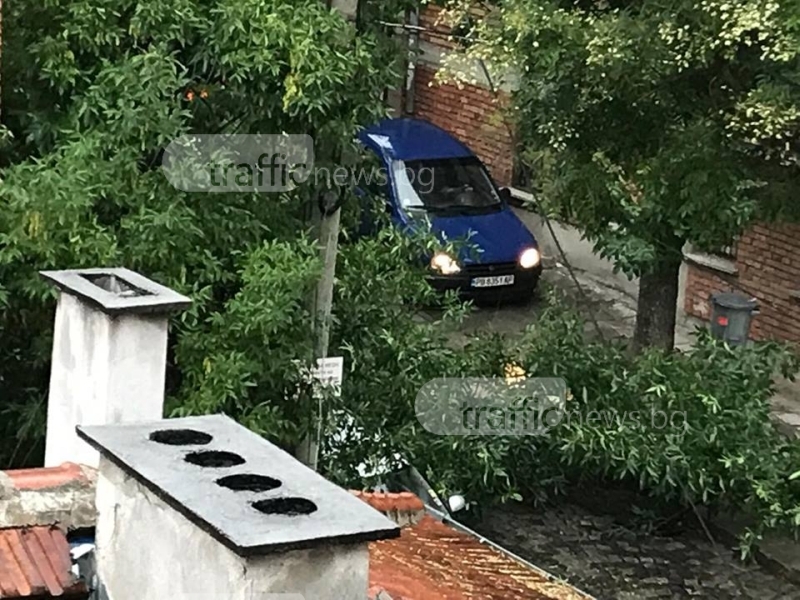 Първи щети от дъжда в Пловдив! Дърво се стовари върху автомобил ВИДЕО и СНИМКИ