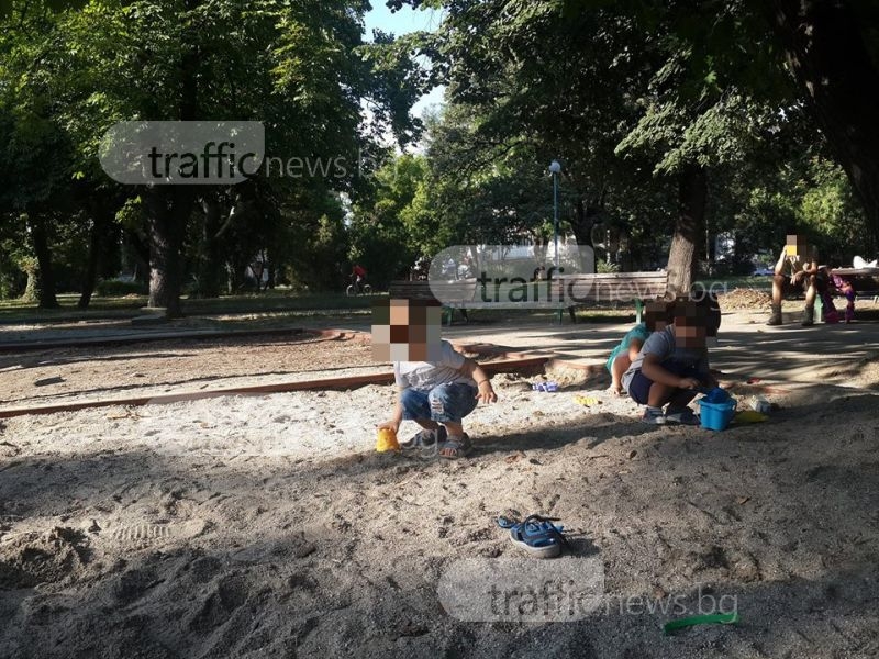 Бълхи нахапаха деца и майки на детска площадка в Кършияка