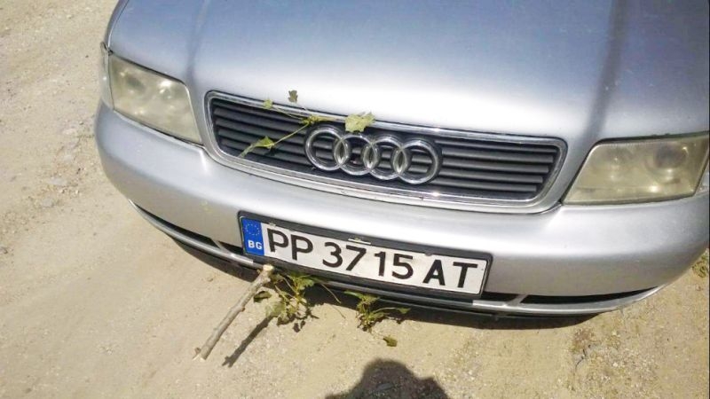 Клон проби ауди в движение СНИМКИ