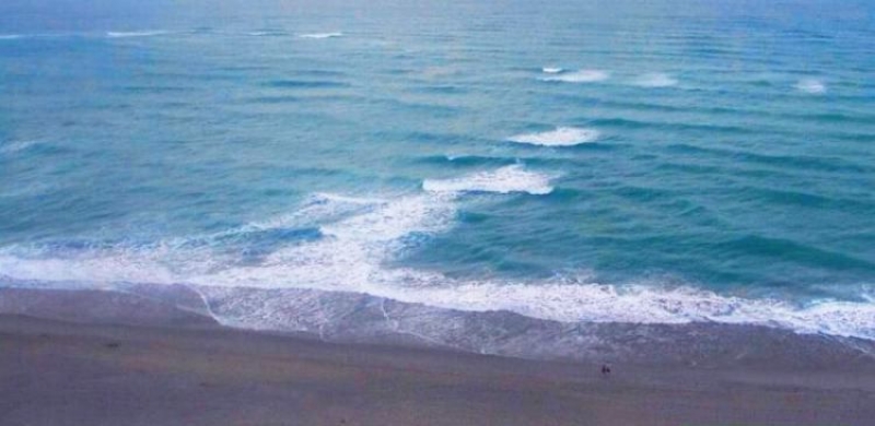 Предупреждават за мъртви вълнения в Черно море през август