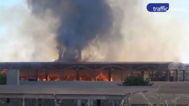 Пожарът в кравефермата край Поповица може да гори с дни ВИДЕО