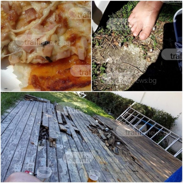 Пица гарнирана с умрели мухи шокира пловдивчани на известен плаж СНИМКИ