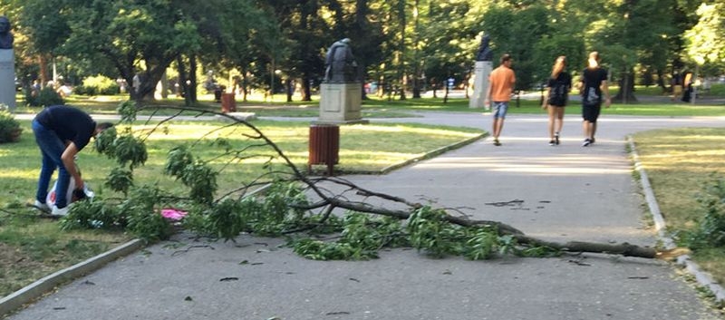 Инцидент в парк! Клон се стовари върху майка с дете СНИМКИ