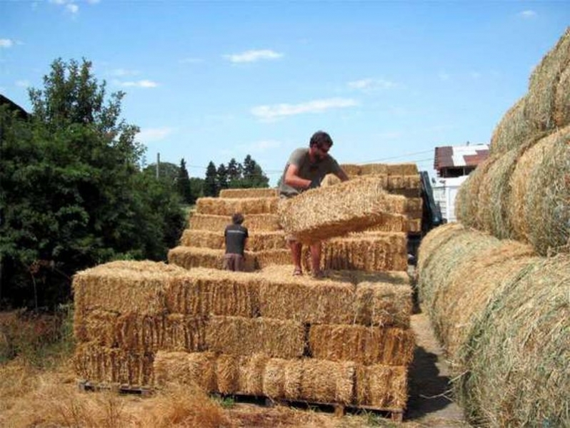 Апаши задигнаха строителни материали и бали със сено в Пазарджишко