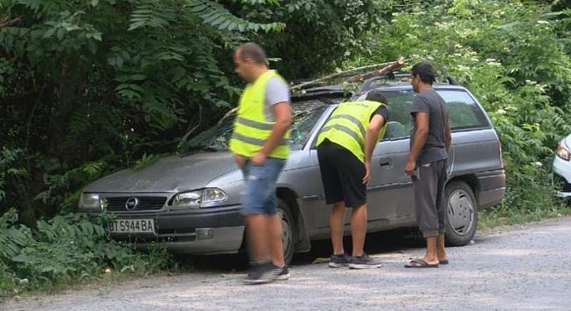 Дърво падна върху кола на пътя, шофьорът е ранен
