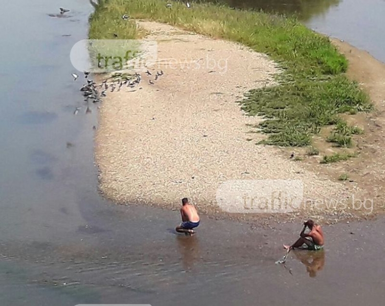 Втори ден бракониери ловят гълъби на острова под моста на “Герджика“! СНИМКИ