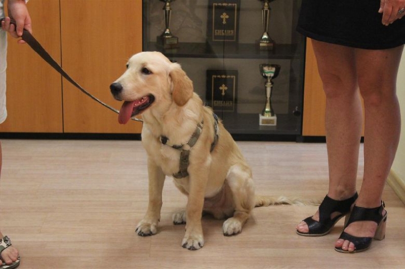 Четвъртокласник от Пловдив спечели награда, защото... регистрира кучето си СНИМКА