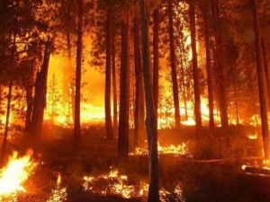 Огромен риск от пожари днес в Пловдивско