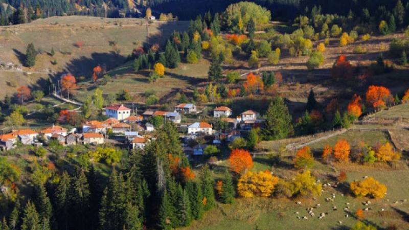 Есента настъпи в Родопите! Термометърът падна до 3 градуса СНИМКА
