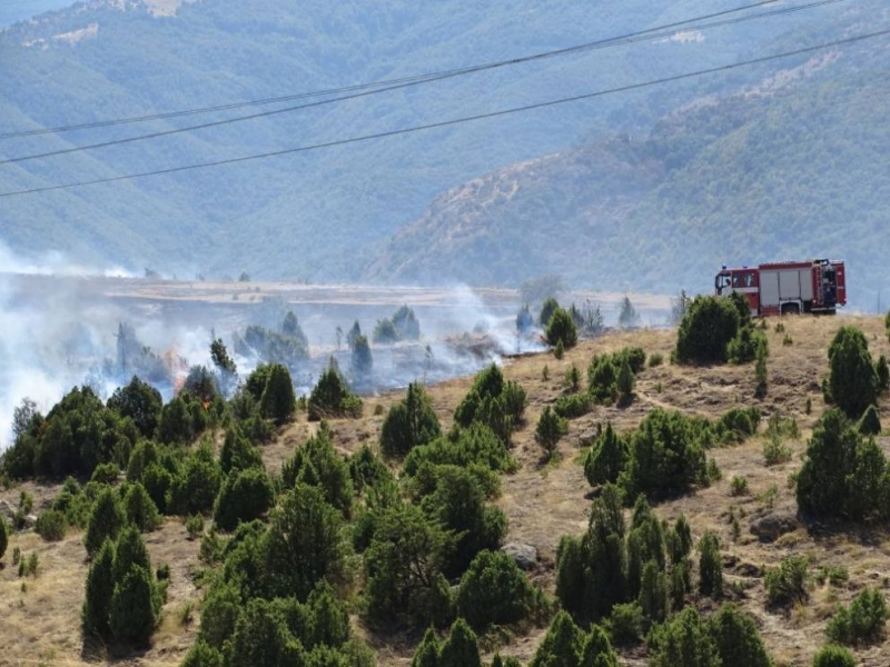Евакуираха жителите на две села заради огнения ад край Кресненското дефиле