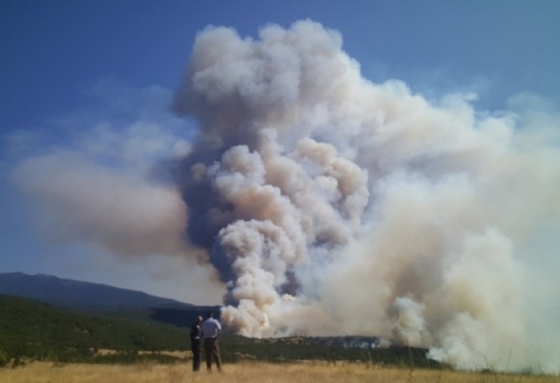 Разраства се пожарът в Кресненското дефиле