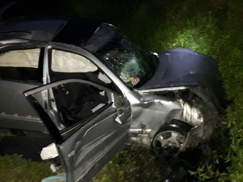 Кола излетя от път край Пловдив, спасиха жена и две деца от размазаното возило СНИМКИ
