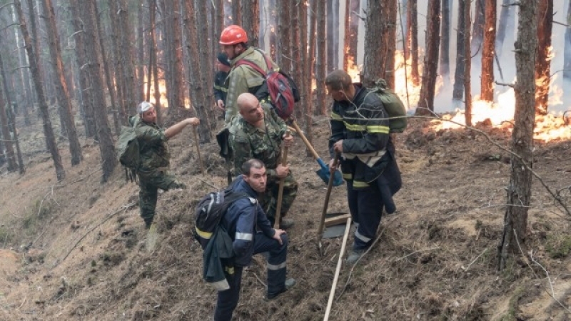 Пожарът в Кресненското дефиле продължава, 450 души се борят със стихията