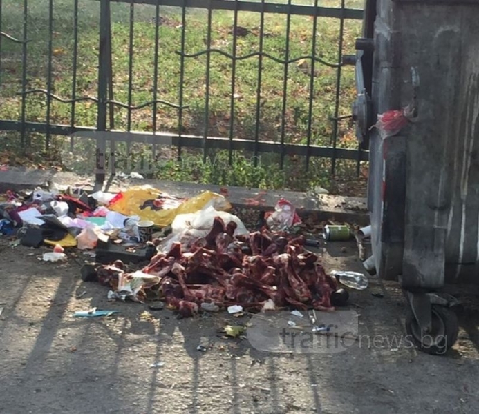 Кланица на тротоар в Пловдив! Кървави кости с месо се търкалят до кошове за боклук СНИМКИ