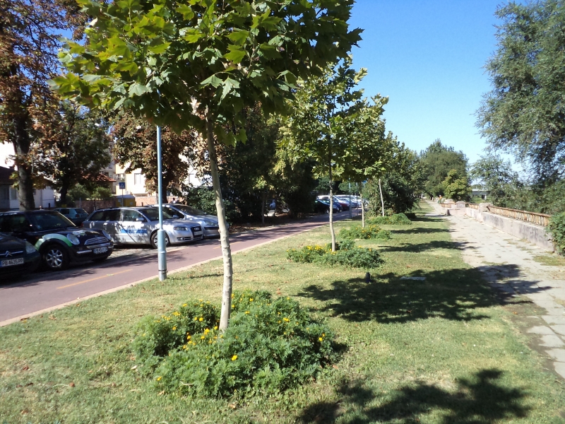 Пуснаха най-новата поливна система на булевард Марица СНИМКИ