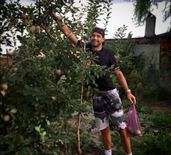 Гришо бере ябълки и домати oт градината в Хасково СНИМКИ