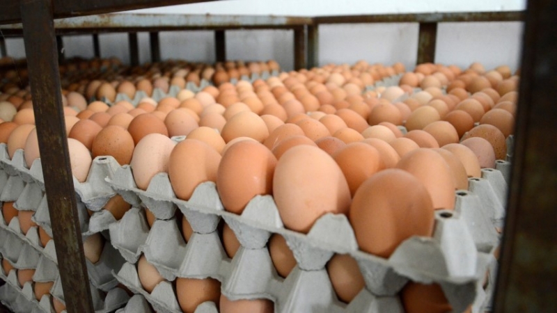 Не яжте яйца с партидни номера 3BG04001, 1BG04001, 3BG04003! Заразени са