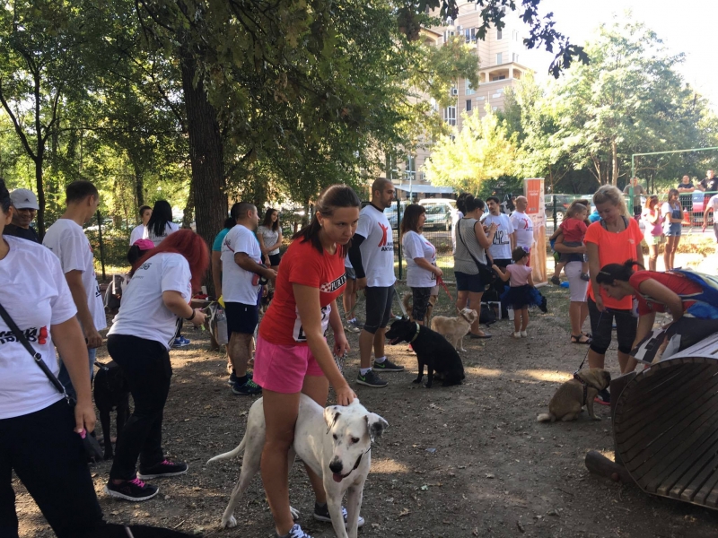 Олимпийски легенди, активни пловдивчани и кучетата им спортуваха заедно днес в Пловдив