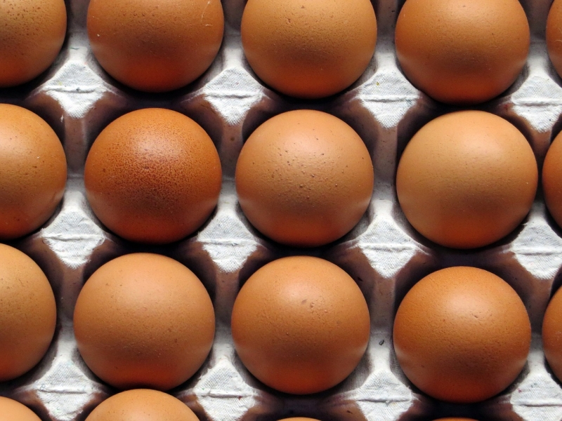 Откриха над 200 000 яйца с фипронил в склад и магазини в Пловдив