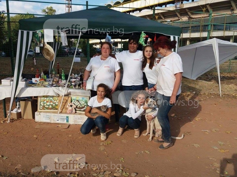 Базар в Пловдив събира средства за кучета жертви на насилие СНИМКИ