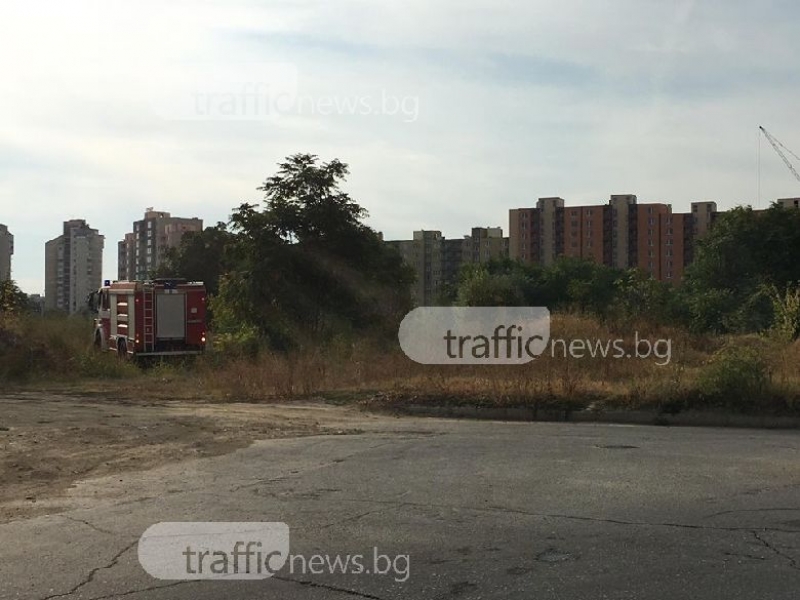 Пожар избухна в Тракия, горят сухи треви СНИМКИ