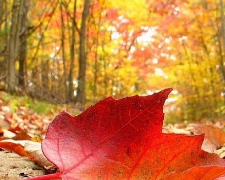 Какво ще бъде времето през октомври?