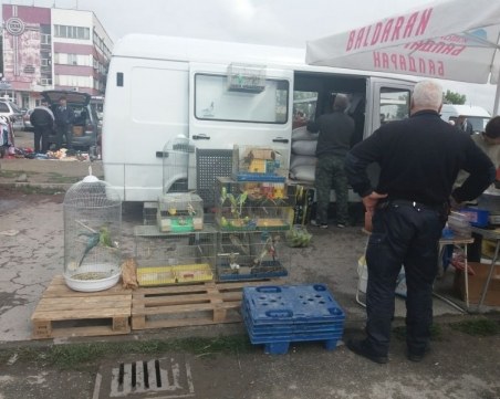 Акция в Шекера! Разбиха нелегален пазар за птици, съставиха 6 акта