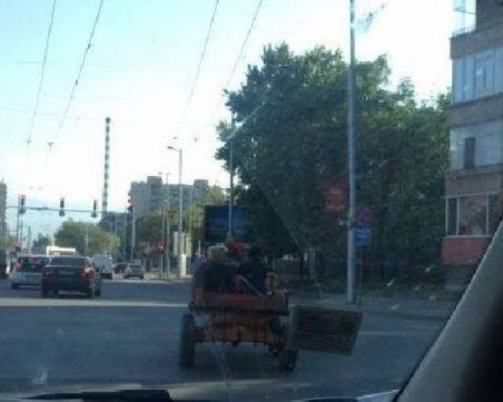 Каруци кръстосват пловдивски булеварди, напук на забрани и закони
